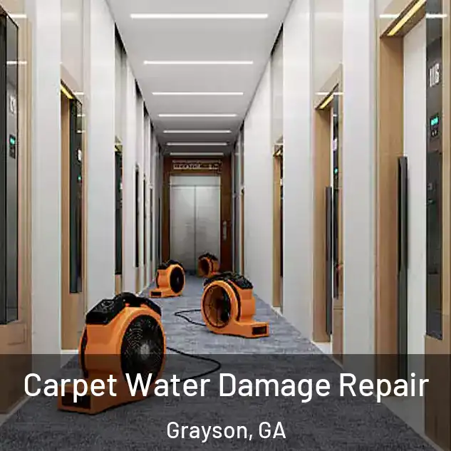  Carpet Water Damage Repair Grayson, GA