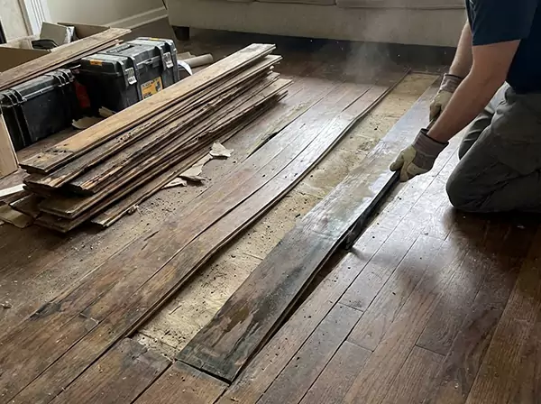 Water Damage Drying in Grayson