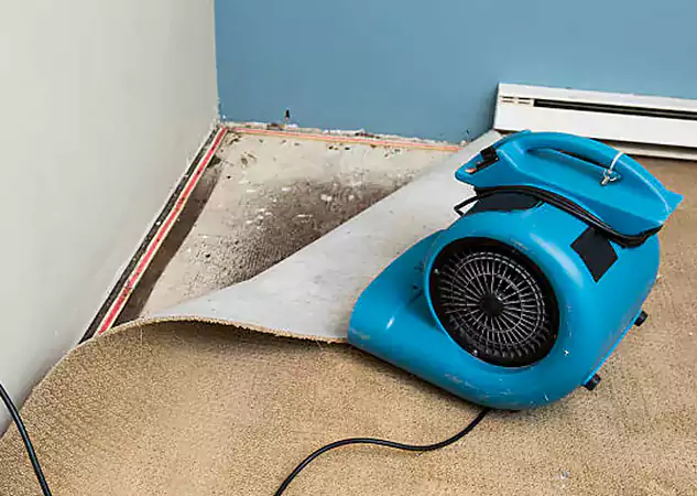 Your Water Damage Experts in Grayson, GA