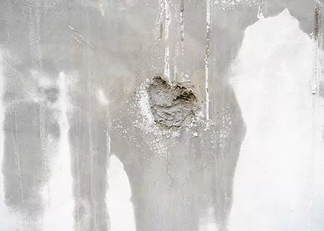 Your Mold Mitigation Solutions Partner in Grayson, GA