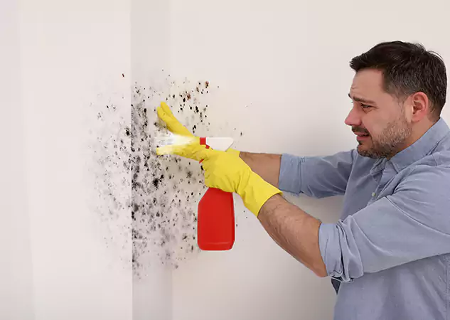 Your Water Mold Fire Restoration Partner in Grayson, GA