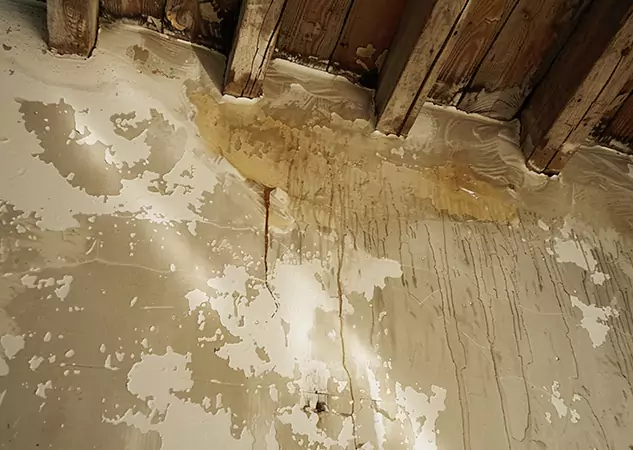 Your Trusted Restoration Company in Grayson, GA
