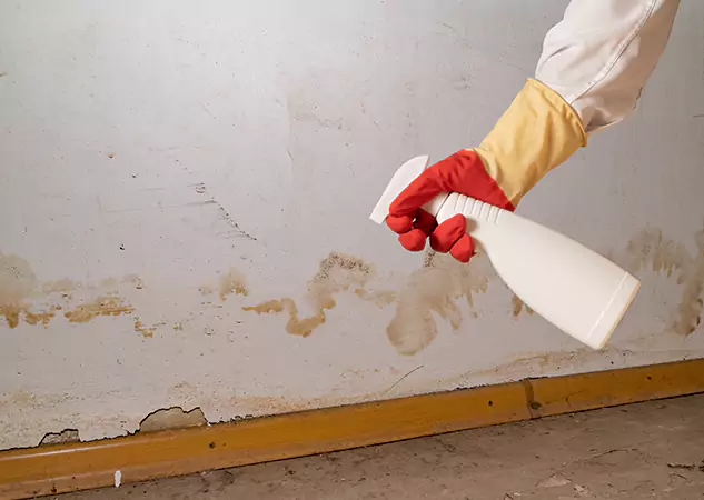 Your Water Restoration and Mold Remediation Specialists in Grayson, GA