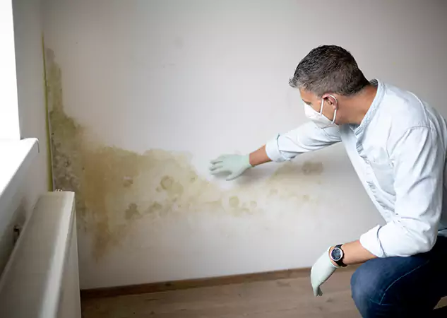 Reach Our Remediation Team Before Damage Grows in Grayson, GA!