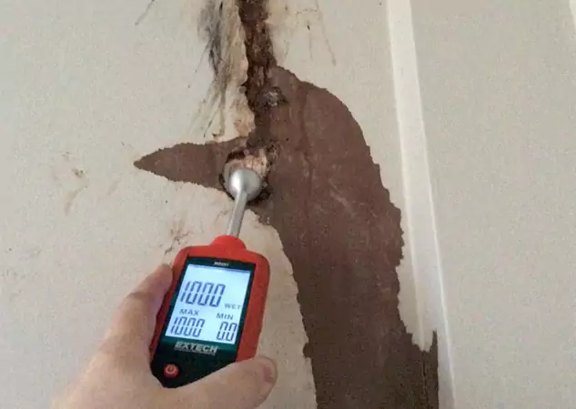 Your Water Damage Assessment Partner in Grayson, GA