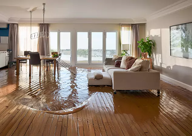 Your Trusted Water Removal Specialists in Grayson, GA
