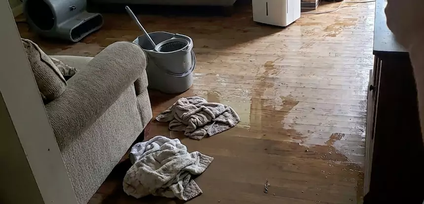 Professional Basement Water Remediation Services in Grayson, GA