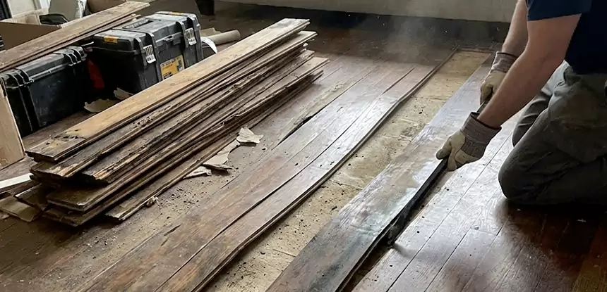 Wood Rot and Fungus Repair in Grayson