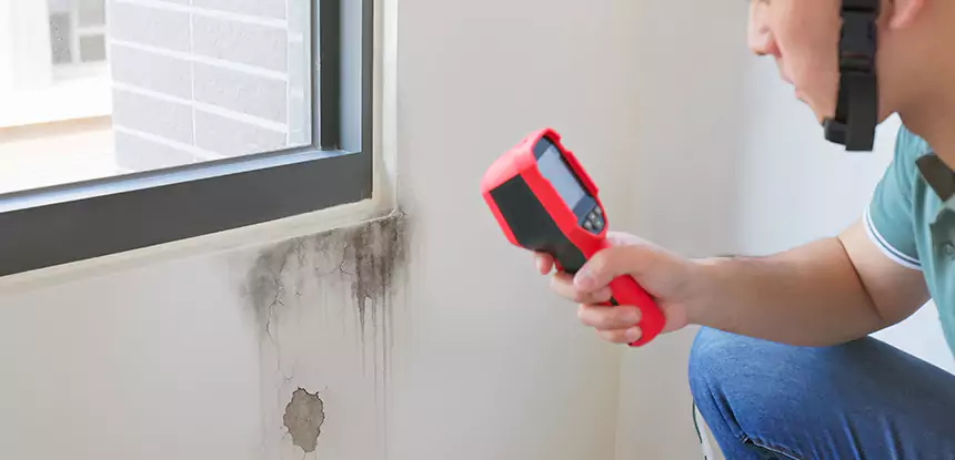 Wall Texture Repair After Mold in Grayson
