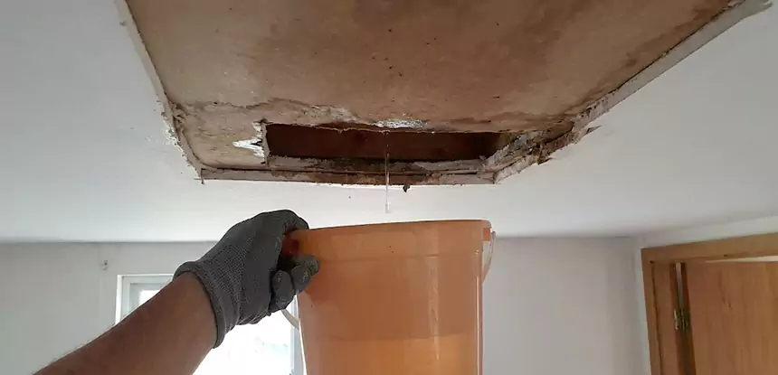 Ceiling Mold Repair Grayson 