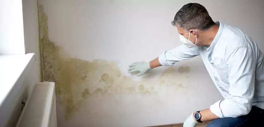 Mold and Water Damage Repair in Grayson