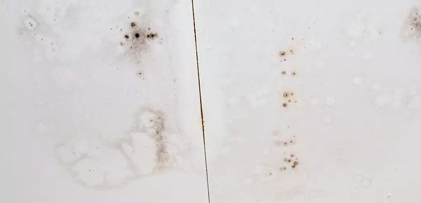 Professional Water Stain Repair Services in Grayson, GA