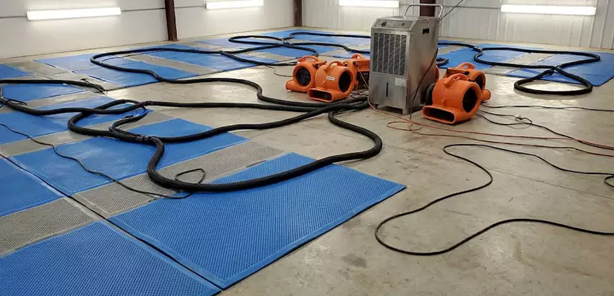 Professional Flooded Carpet Drying Services in Grayson, GA