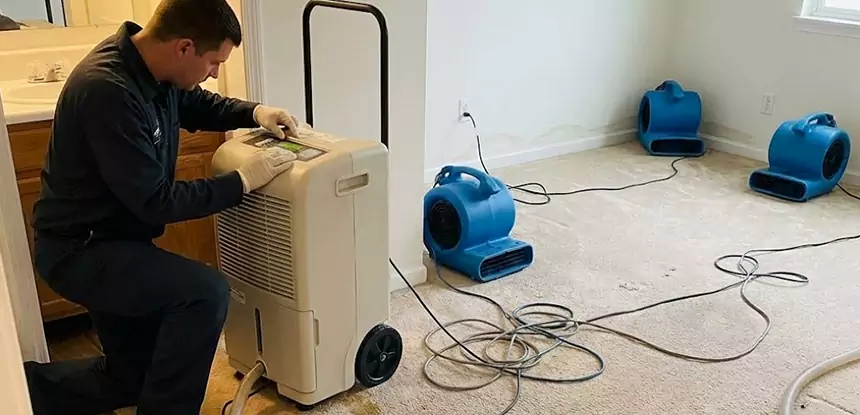 Professional Wet Carpet Removal Services in Grayson, GA