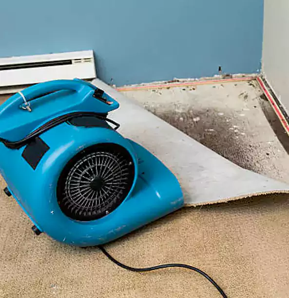 Why Grayson Trusts Grayson Restoration Pro for Carpet Flood Recovery?