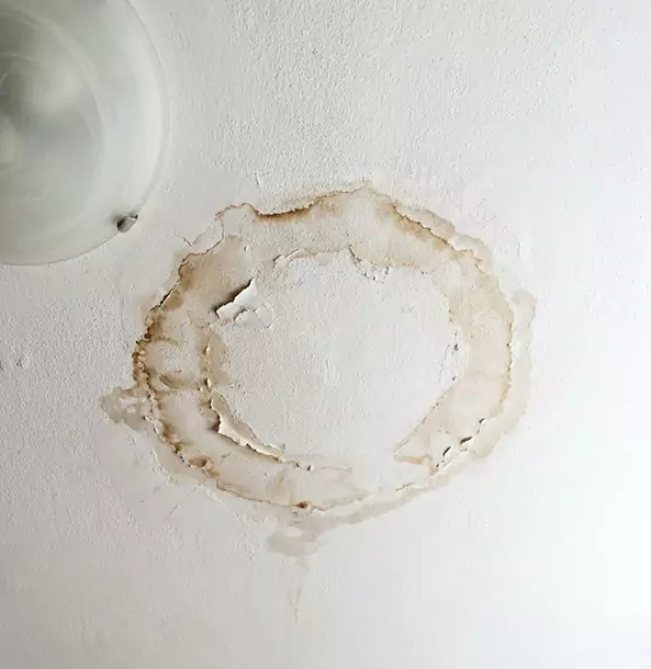 Why Grayson Property Owners Choose Grayson Restoration Pro for Ceiling Water Damage Restoration?
