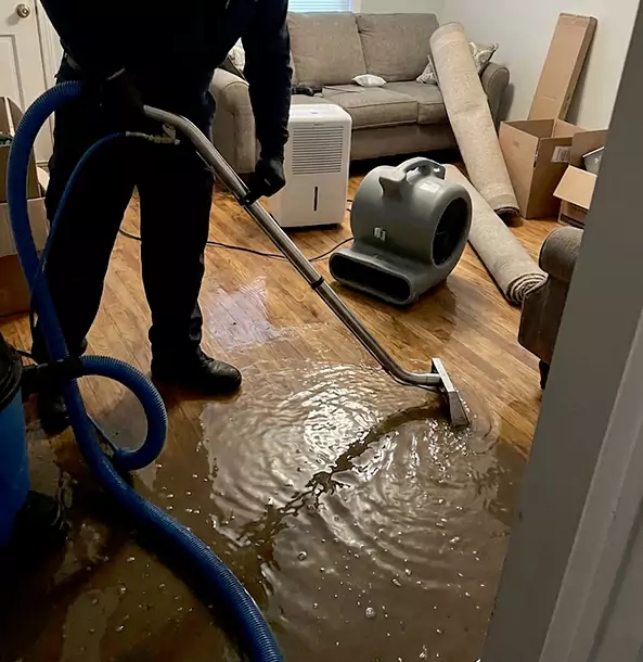Why Grayson Trusts Grayson Restoration Pro for Flood Cleanup?