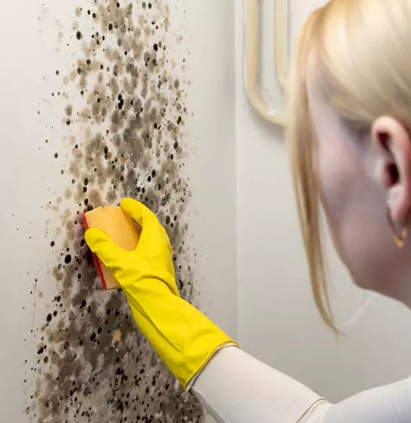 Why Grayson Restoration Pro Leads Mold Remediation in Grayson?