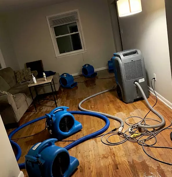 Why Grayson Property Owners Rely on Grayson Restoration Pro for Remediation?
