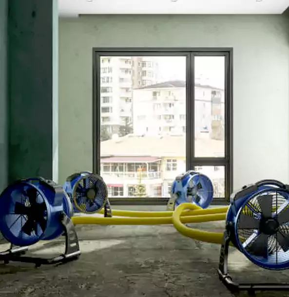 Why Grayson Property Owners Trust Grayson Restoration Pro for Water Damage Drying?