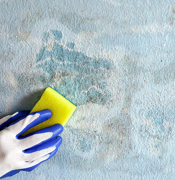 Why Grayson Restoration Pro Is the Right Choice in Grayson, GA?