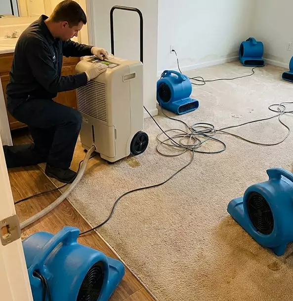 Why Grayson Homeowners and Businesses Trust Grayson Restoration Pro for Carpet Drying?