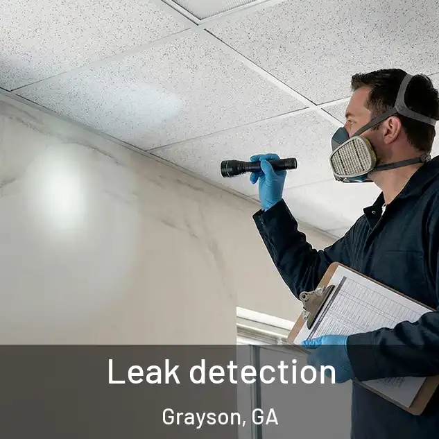  Leak detection Grayson, GA