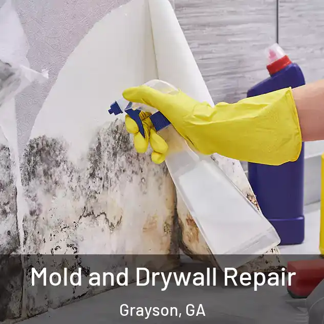  Mold and Drywall Repair Grayson, GA