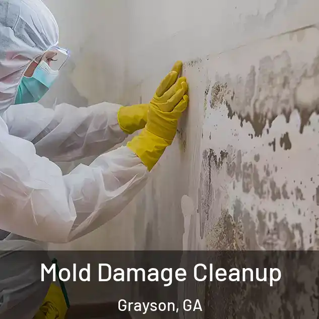  Mold Damage Cleanup Grayson, GA