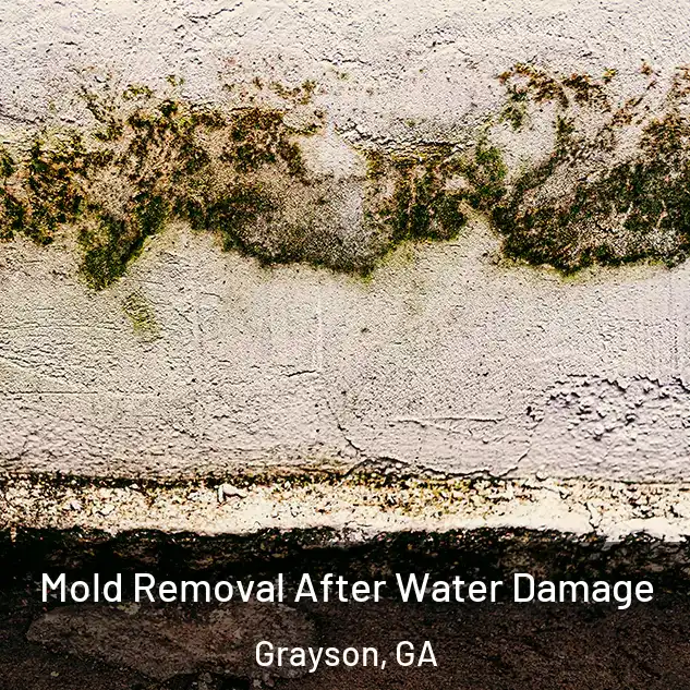  Mold Removal After Water Damage Grayson, GA