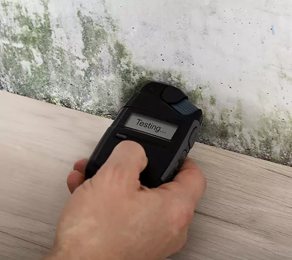 Mold Remediation Service Grayson