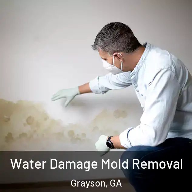  Water Damage Mold Removal Grayson, GA