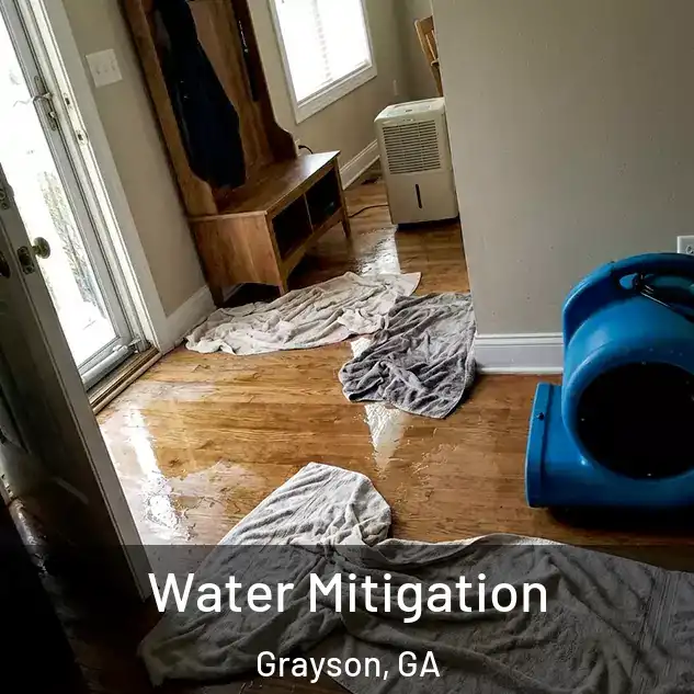  Water Mitigation Grayson, GA